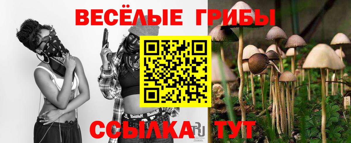 Галлюциногенные грибы мицелий  Вход с VPN  Острогожск  Псилоцибиновые грибы прущие грибы 